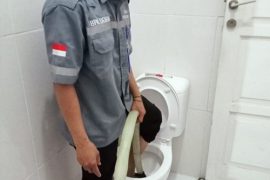 jasa_sedot_wc_melong_085722421_1680389505_538b3189_progressive (1)